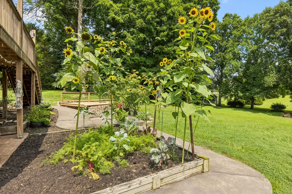 2024 Big Oak Drive Spring Hill TN 37174