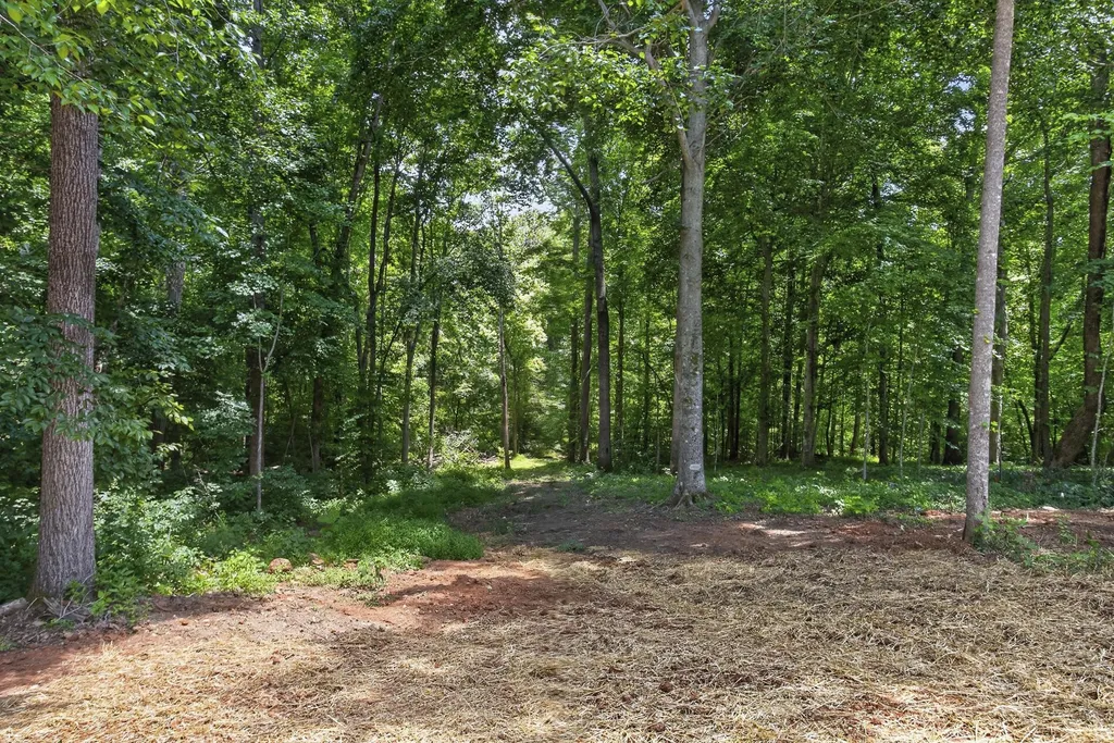 1007 Ballew Circle Fairview TN 37062