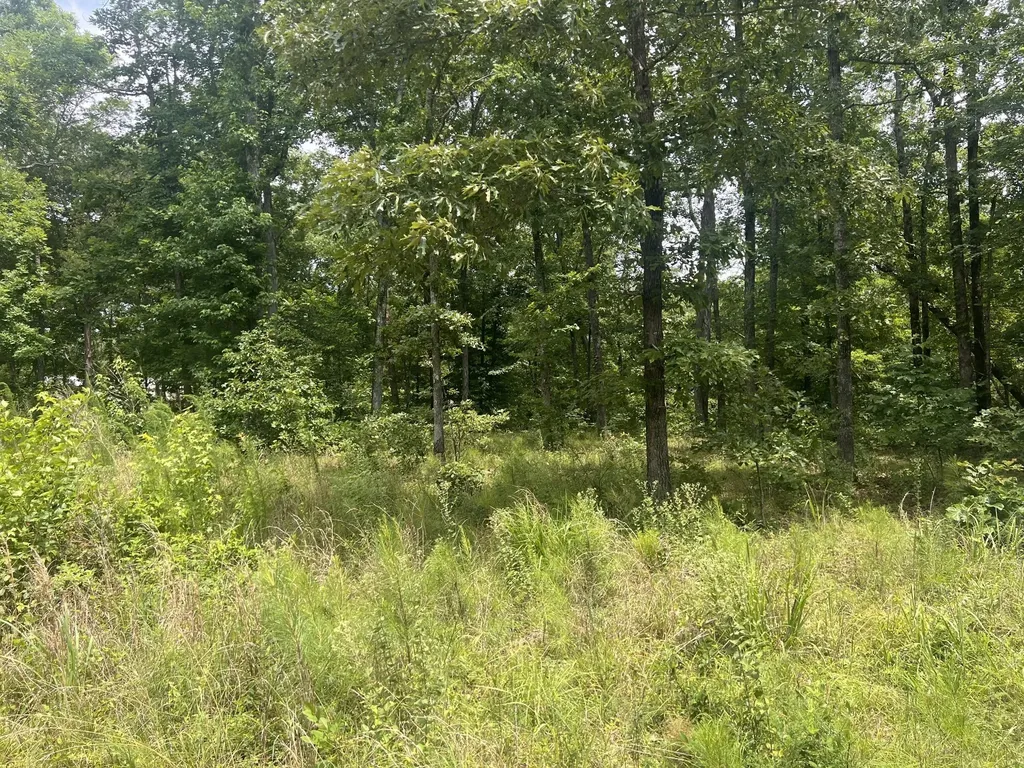 6 Lakeview Drive Linden TN 37096