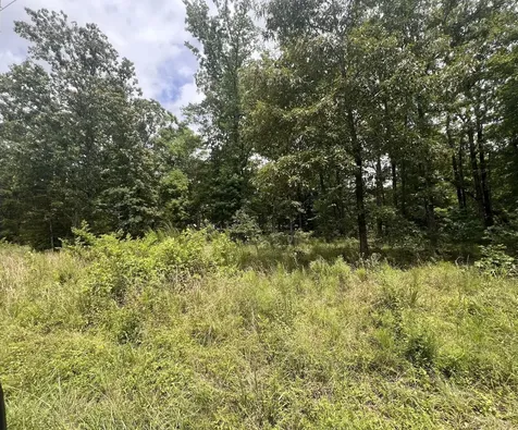 6 Lakeview Drive Linden TN 37096