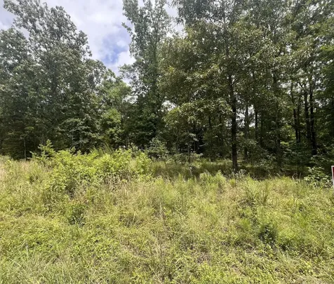 4 Lake View Drive Linden TN 37096
