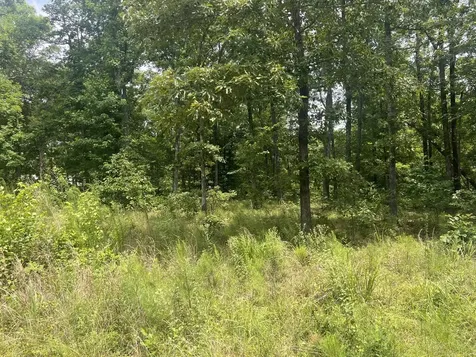 4 Lake View Drive Linden TN 37096