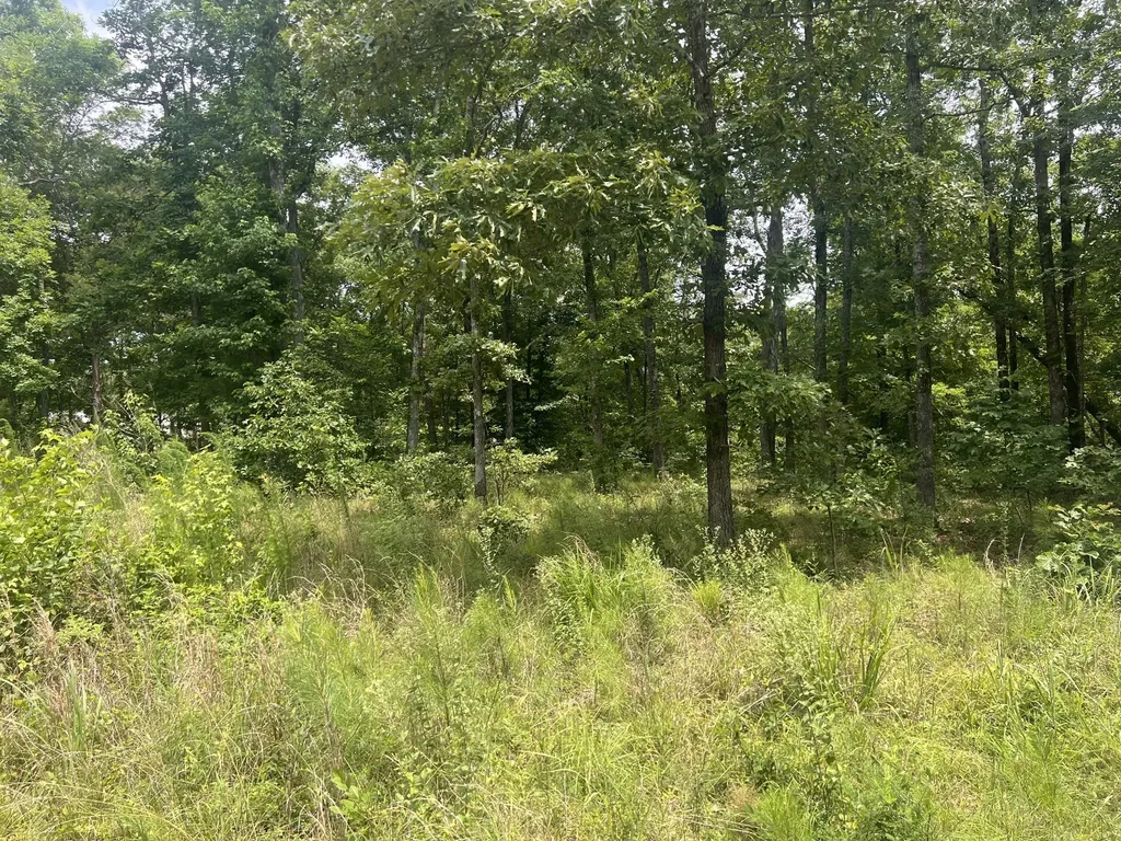 5 Lakeview Drive Linden TN 37096
