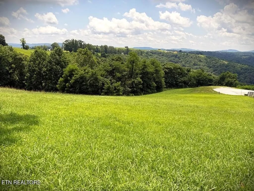 24 Bluegill Lane Hilham TN 38568