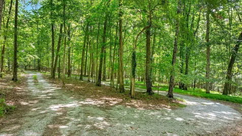 1637 Clifftops Avenue Monteagle TN 37356