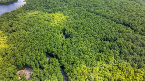 1637 Clifftops Avenue Monteagle TN 37356