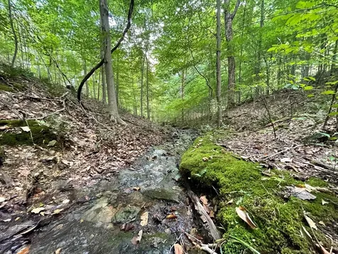 0 Mcclanahan Road Hampshire TN 38461