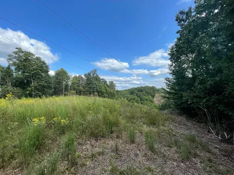 0 Mcclanahan Road Hampshire TN 38461