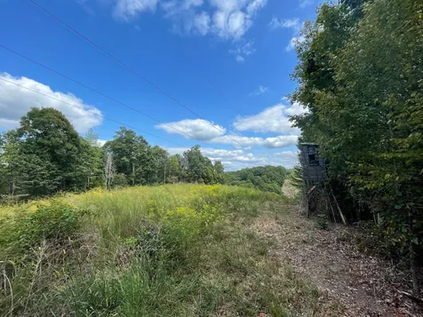 0 Mcclanahan Road Hampshire TN 38461