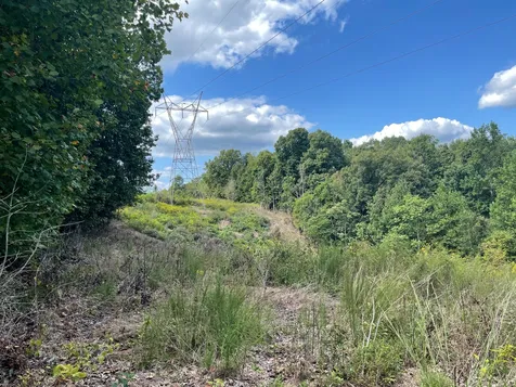 0 Mcclanahan Road Hampshire TN 38461