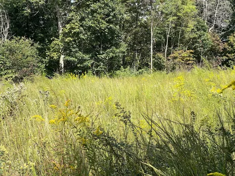 0 Mcclanahan Road Hampshire TN 38461