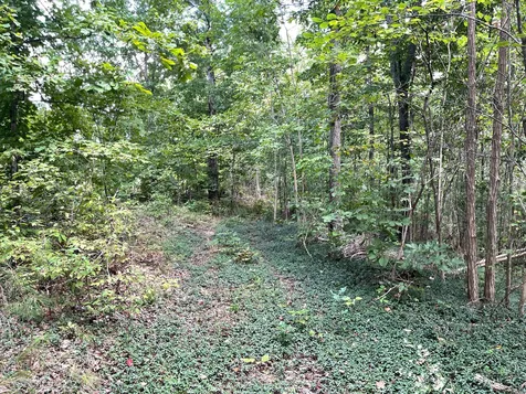 0 Mcclanahan Road Hampshire TN 38461