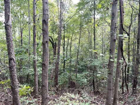 0 Mcclanahan Road Hampshire TN 38461