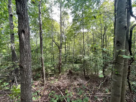 0 Mcclanahan Road Hampshire TN 38461