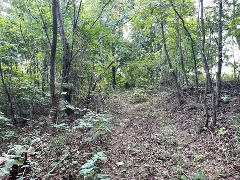 0 Mcclanahan Road Hampshire TN 38461