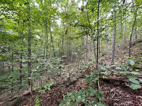 0 Mcclanahan Road Hampshire TN 38461