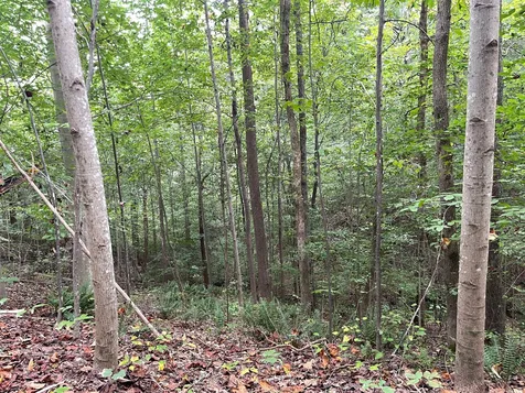 0 Mcclanahan Road Hampshire TN 38461