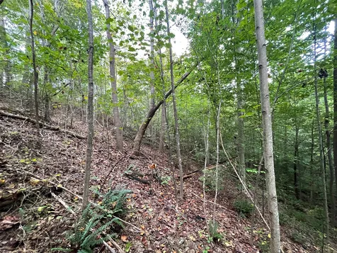 0 Mcclanahan Road Hampshire TN 38461