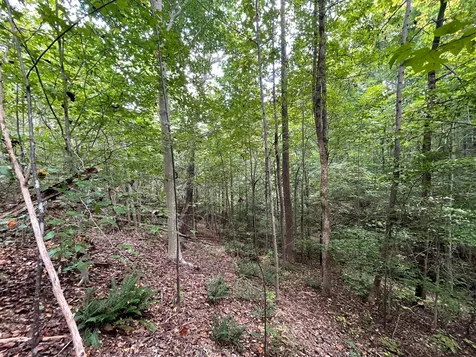 0 Mcclanahan Road Hampshire TN 38461