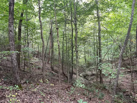 0 Mcclanahan Road Hampshire TN 38461