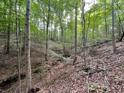 0 Mcclanahan Road Hampshire TN 38461