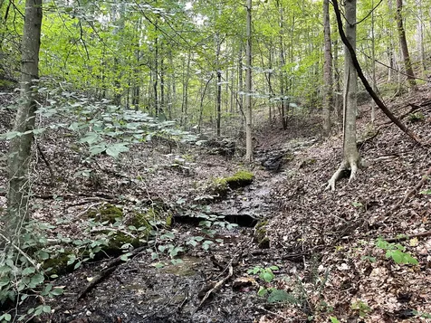 0 Mcclanahan Road Hampshire TN 38461