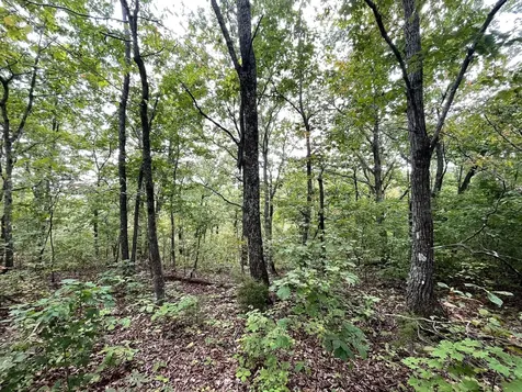 0 Mcclanahan Road Hampshire TN 38461