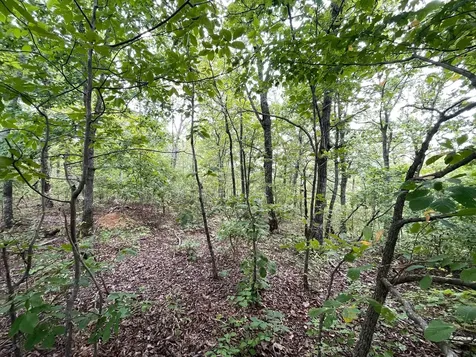 0 Mcclanahan Road Hampshire TN 38461