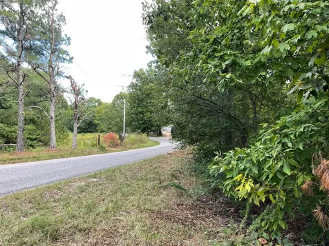 0 Mcclanahan Road Hampshire TN 38461