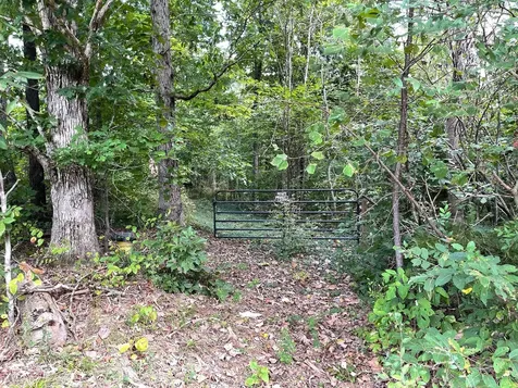 0 Mcclanahan Road Hampshire TN 38461