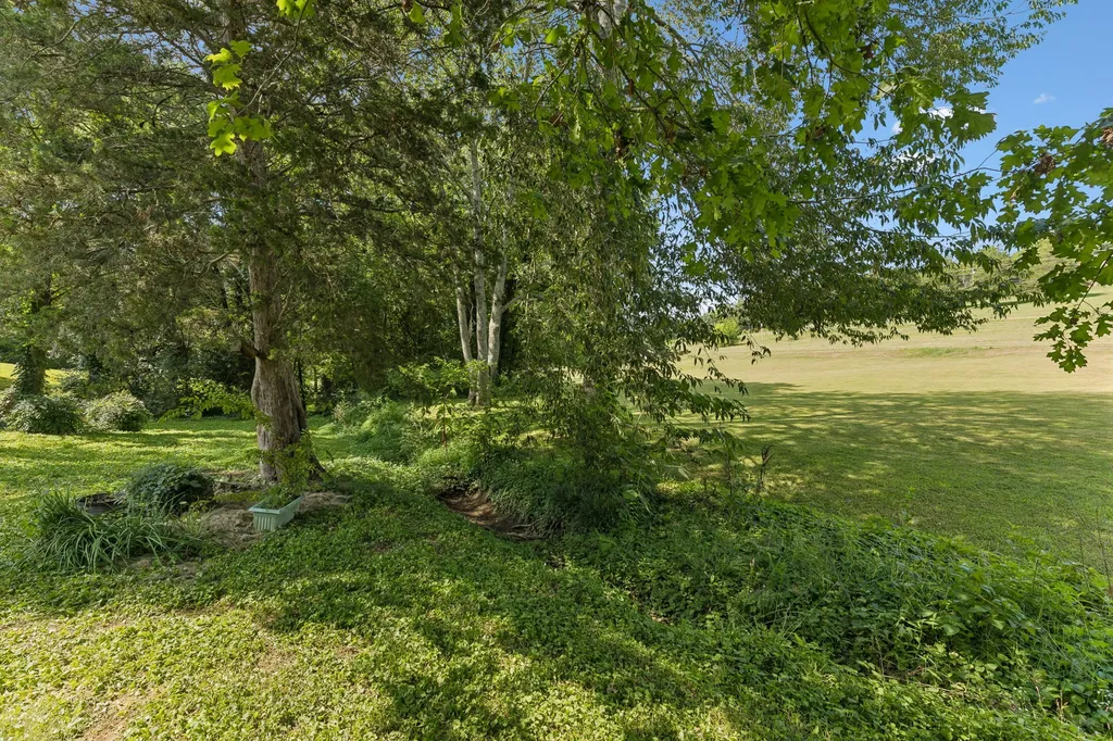 909 Greenview Drive Fayetteville TN 37334