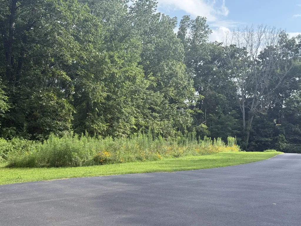 1600 Ledford Road Culleoka TN 38451