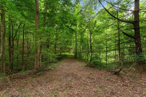 5609 Wilkins Branch Road Franklin TN 37064