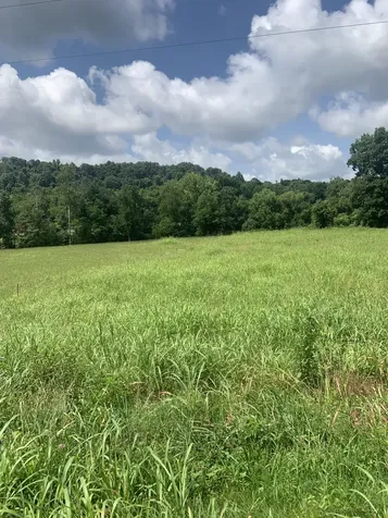 4027 Panhandle Road Wartrace TN 37183