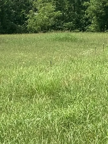 4027 Panhandle Road Wartrace TN 37183