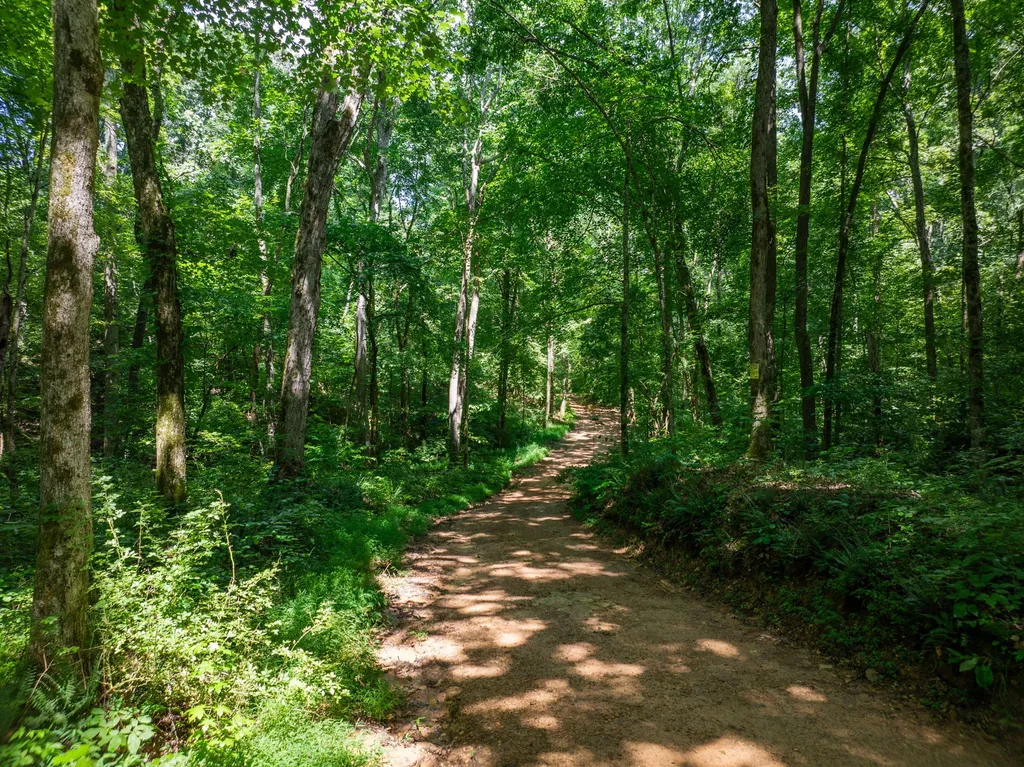 0 Barren Fork Bridge Road Bon Aqua TN 37025