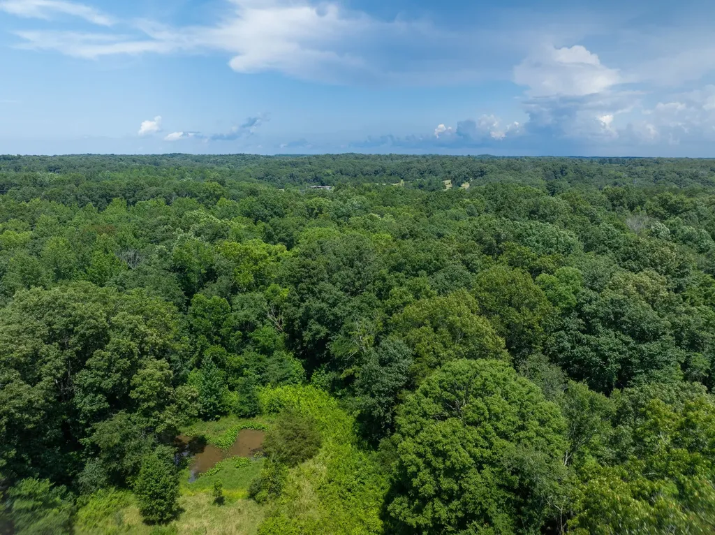 0 Barren Fork Bridge Road Bon Aqua TN 37025