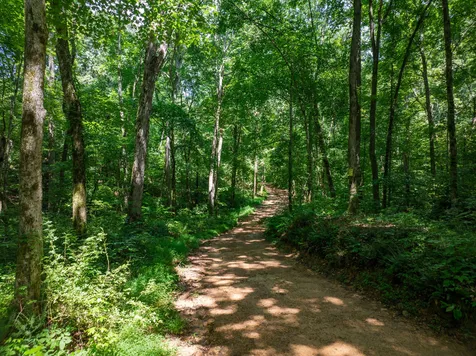 0 Barren Fork Bridge Road Bon Aqua TN 37025