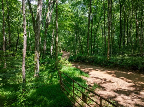 0 Barren Fork Bridge Road Bon Aqua TN 37025