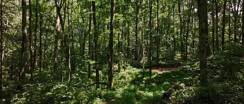 0 Barren Fork Bridge Road Bon Aqua TN 37025