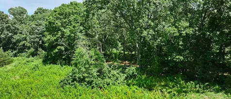 0 Barren Fork Bridge Road Bon Aqua TN 37025