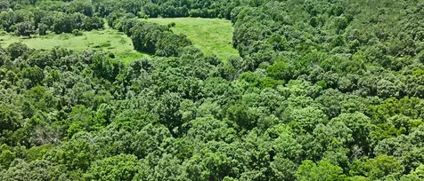 0 Barren Fork Bridge Road Bon Aqua TN 37025