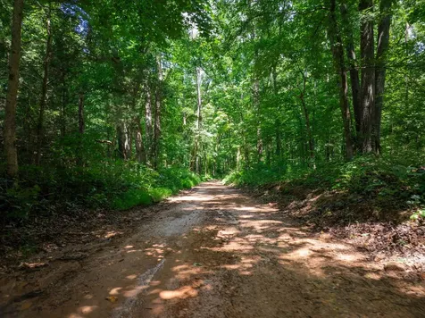 0 Barren Fork Bridge Road Bon Aqua TN 37025
