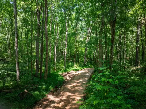 0 Barren Fork Bridge Road Bon Aqua TN 37025