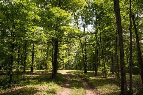 0 Shoals Branch Road Primm Springs TN 38476
