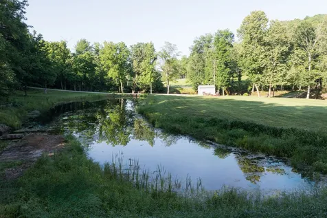 0 Shoals Branch Road Primm Springs TN 38476