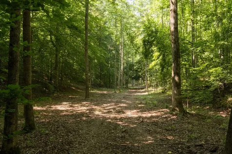 0 Shoals Branch Road Primm Springs TN 38476