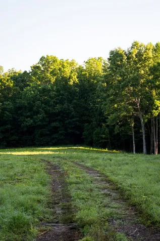 0 Shoals Branch Road Primm Springs TN 38476