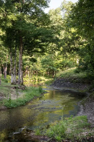 0 Shoals Branch Road Primm Springs TN 38476