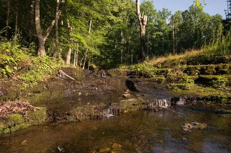 0 Shoals Branch Road Primm Springs TN 38476